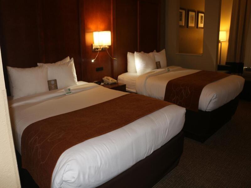 ניו בראונפלס Comfort Suites מראה חיצוני תמונה