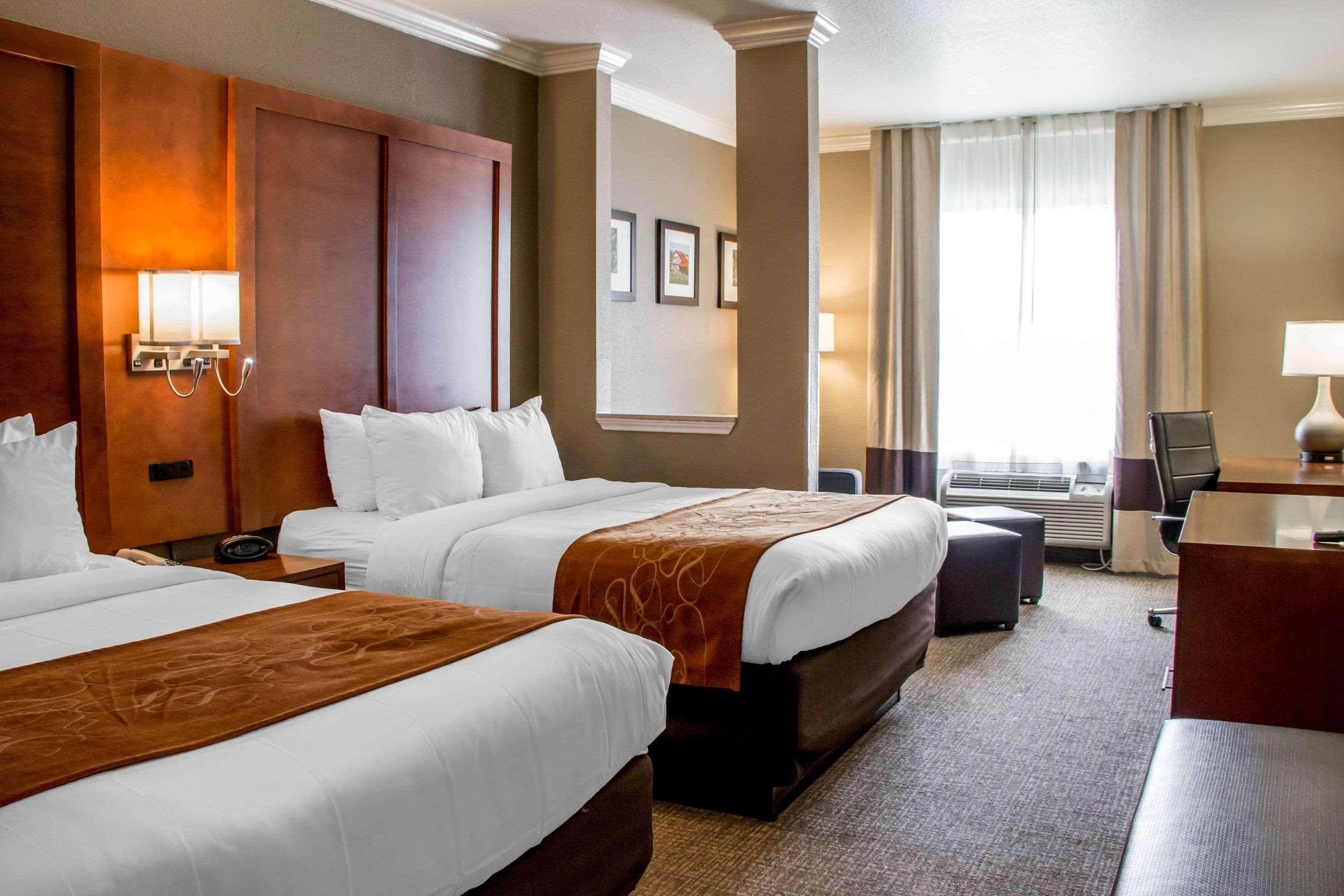 ניו בראונפלס Comfort Suites מראה חיצוני תמונה