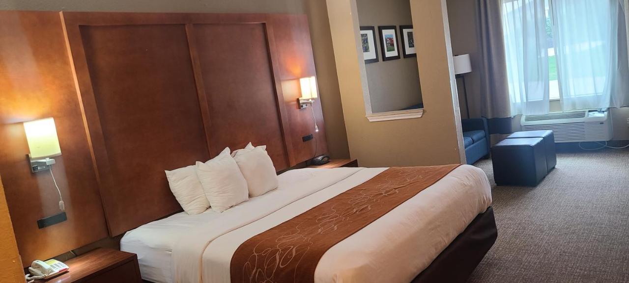 ניו בראונפלס Comfort Suites מראה חיצוני תמונה