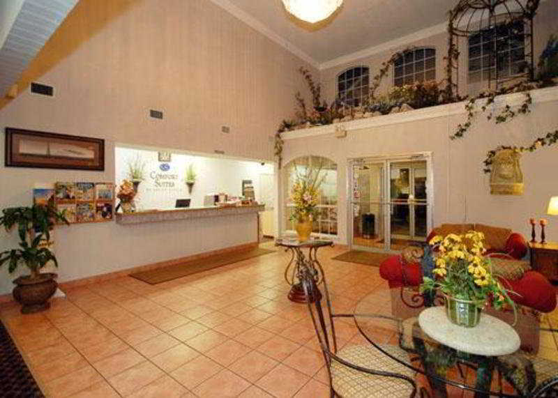ניו בראונפלס Comfort Suites מראה פנימי תמונה