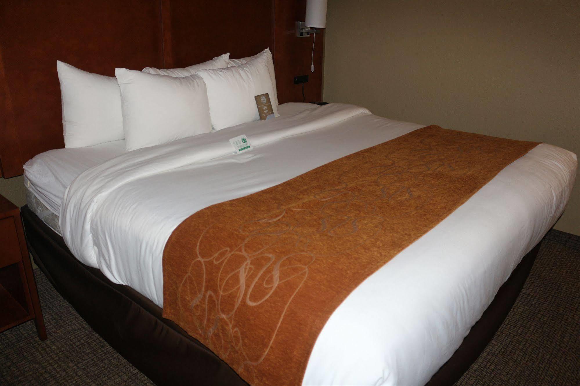 ניו בראונפלס Comfort Suites מראה חיצוני תמונה