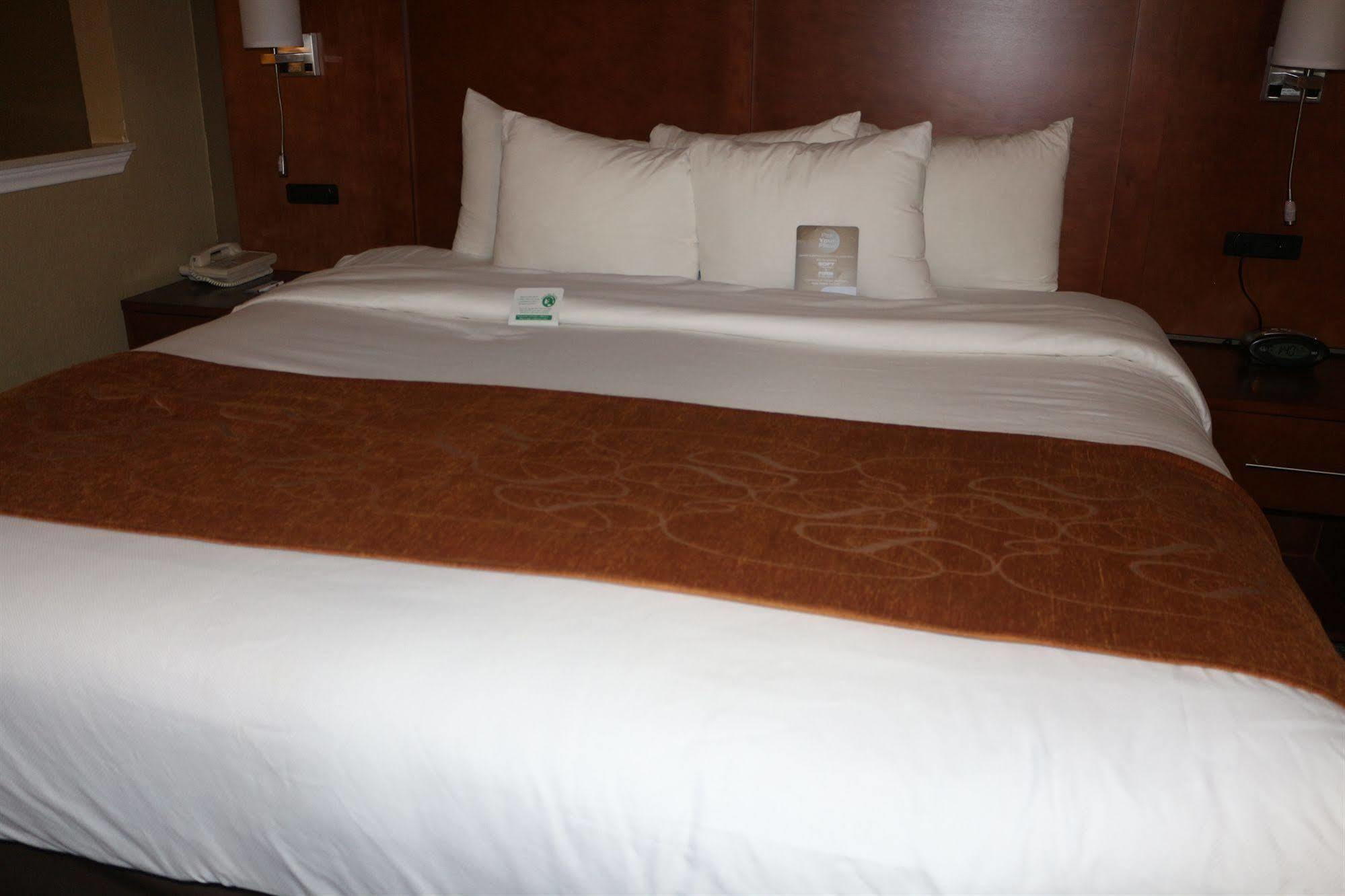 ניו בראונפלס Comfort Suites מראה חיצוני תמונה