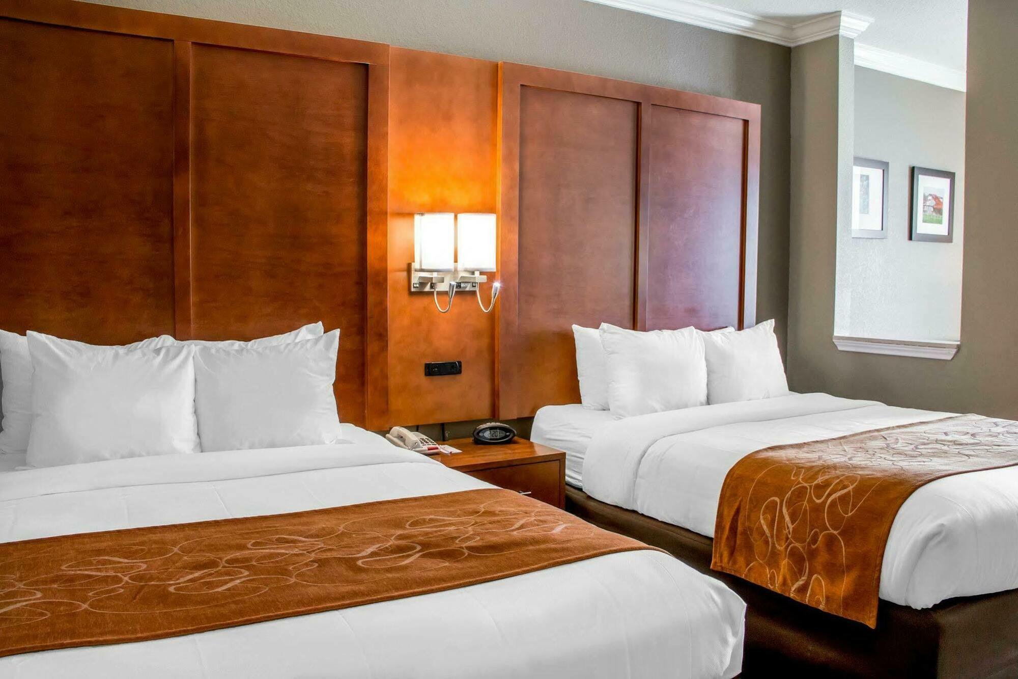 ניו בראונפלס Comfort Suites מראה חיצוני תמונה